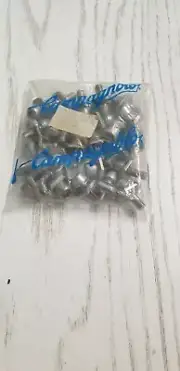 NEW Campagnolo Front Derailleur bolts 25pcs