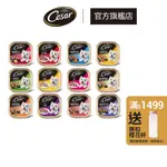 【CESAR西莎】精緻風味餐盒 24入 (100G/盒) 多口味 寵物 狗罐頭/濕糧
