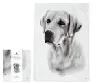 ASHDENE DELIGHTFUL DOGS TEA TOWEL | LABRADOR |BNWT