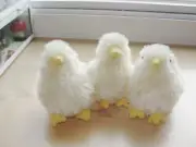 SET OF (3) Folkmanis Puppets Mini Chick Finger Puppet