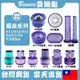 Dyson V6 V7 V8 V10 吸塵器 HEPA 濾芯 戴森 濾網 DCV11 V12 V15 SV18 濾心