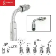 Dental Woodpecker E2 Remove All Supragingival Calculus And Bacterial Plaque