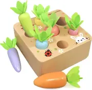 Montessori Toys for 3+ Year Old Wooden Toys Developmental Shape Sorting & Matchi
