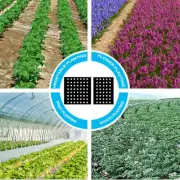 Efficient Mulch Film for Home Garden Promote Growth and Extend Harvest Time