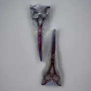 Foxy Roxy Shear (Pair) EXCALIBUR (Straight) And KING ARTHUR (Curve)