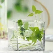 12 pcs 6" tall Clear Glass Cube Wedding Centerpieces Vases Party Decorations