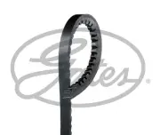 V-Belt fits: MAN NG NG 262 NG 272,VOLVO B10 B10