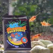 1Bag Aquarium Marine Sea Monkeys Live Ocean Monkey Tank Toy Aqu -