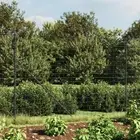 Wire Mesh Fence Garden Fencing Netting Mesh Barrier Galvanised Steel vidaXL