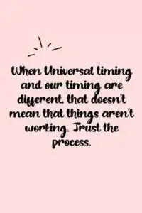 在飛比找博客來優惠-When Universal timing and our 