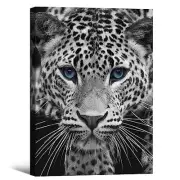 Black and White Leopard Canvas Wall Art Blue Eyes 16L" x 12W" Leopard Wall Art