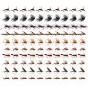 Fly Fishing Flies Kit - 100pcs Fly Fishing Lures- Fly Fishing Assortment Kit ...