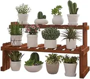 Plant Display Stand Small Plant Rack Indoor Ladder Shelf 2 Tiers Desktop Flower Holder Stand Window Wood Plant Trellis for Suulent Cupcake Spice Rack Countertop Flower Holder Display Rack Si