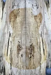 10mm Electric Bass Drop Top Spalted Wormhole Maple Wood Stabilised Resin filling