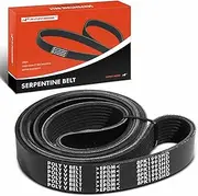 Heavy-Duty Serpentine Drive Belt Compatible with Blue Bird, Freightliner, Sterling Truck, Thomas & Western Star Cars - Vision School Bus, Condor, FL112, FLD120, 4900SA & More