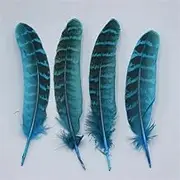 10-20 pcs Natural Female Pheasant Feathers 4-6Inches /10-15 Cm DIY Jewelry Decorative Accessories Blue 10 pcs