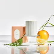 CIRCA Alchemy Grapefruit & Cedarwood Candle 350g