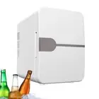 Mini Camping Fridge 6L Dual-Use Car Refrigerator 12V DC 220V Ac Electric Auto Fr
