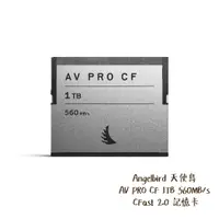 在飛比找蝦皮商城優惠-Angelbird AV PRO CF 1TB 560MB/