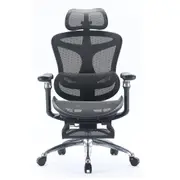 Sihoo A3 DORO-C300 Pro Ergonomic Office Chair with Footrest