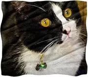 Plush Blanket, Nap Blanket, Warm Cozy Soft, Microfiber Blankets, Animal Cat