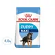 ROYAL CANIN 法國皇家 SHN 大型幼犬MXP 乾飼料