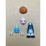 LEGO 樂高 人偶 安娜 迪士尼 冰雪奇緣2 43204