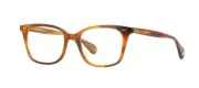 Garrett Leight MONARCH Cedar Tortoise (CEDT) Eyeglasses