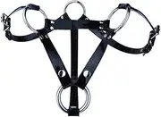 SM Adjustable Men's Chastity Belt Anti-Fall Auxiliary Chastity Cage Condom Chastity Lock Chastity Device Penis Ring for Couples