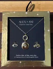 Alex and Ani Charms Your Way Positive Vibes Necklace & Charms Set