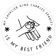 My Cavalier King Charles Spaniel is My Best Friend - Circle Sticker Decal 3 Inch