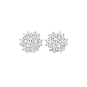 Silver Cz Flower Stud Earrings in White