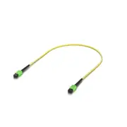 Ubiquiti OS2 MPO-12 APC Fiber Patch Cable, 0.5 m, Single-pack, Indoor OS2 Single-mode,MPO-12 Type B APC Connectors, For 100G Applications