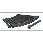 Austral Cylinder Head Bolt Set - 81024300