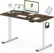 FLEXISPOT Adjustable Desk, Electric Standing Desk Sit Stand Desk Whole-Piece Desk Board for Home Office (EC1 Classic 120×60 CM, White Frame+Rustic)