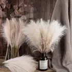 1PC INS Pampas Grass 56.5CM Fake Plant Reed Colorful Artificial Flower