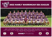 MANLY WARRINGAH SEA EAGLES TEAM POSTER,NRL RUGBY, STORM,DOGS PANTHERS TIGERS 3