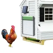 Solar Powered Automatic Light Sensing Chicken Door For Coop Hutch