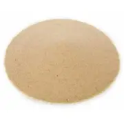 Aquarium Turtle Fish Tank River Sand