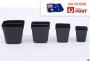 10/20/50/100PCS PLASTIC PLANT FLOWER SQUARE POTS NURSERY SEEDLING CONTAINER