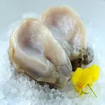 【海之醇】 (免運組)智利活凍鮑魚-3包9顆組(250-300G/包/3顆)