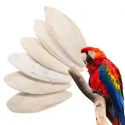 6 Pcs Birds Cuttlebone for Toys of Travel Chew Parakeets Cockatiel
