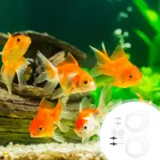 2 Sets Incubation Package Shrimp Accessory Incubator Kit Egg Hatching Soda