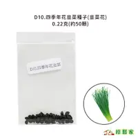 在飛比找蝦皮購物優惠-D10.四季年花韭菜種子(韭菜花)0.22克(約50顆)(花