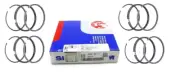 Piston rings SM for Citroen Fiat Iveco Peugeot F1CE3481M F1CE0481L 3.0L STD X4