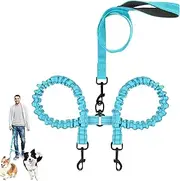 Double Lead Dog Leash, Double Dog Lead for Walking 2 Dogs, Bungee Reflective Leash for Two Dogs 360 Swivel No Tangle (Blue)