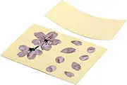 Mikinona Guitar Sticker of Flowers Guitar dot Inlay Sticker for Guitar Inlay Sticker Decals bass Inlay Stickers fretboard Markers Circle dot Stickers Floral Guitar Sticker Ballad Ukulele