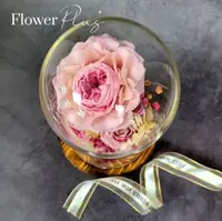 在飛比找鮮拾優惠-【Flower Plus】 溫柔似水｜永生花玻璃罩