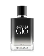 Giorgio Armani Acqua di Gio Parfum 3.3 oz.