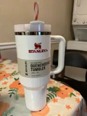 Stanley Mistletoe Twist Cup Limited Edition 40 oz Flowstate Tumbler IN HAND